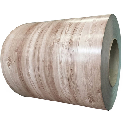 Boyalı Galvanizli Çelik Rulo PPGI / PPGL / HDGL / HDGI Rulo Rulo ve Levhalar